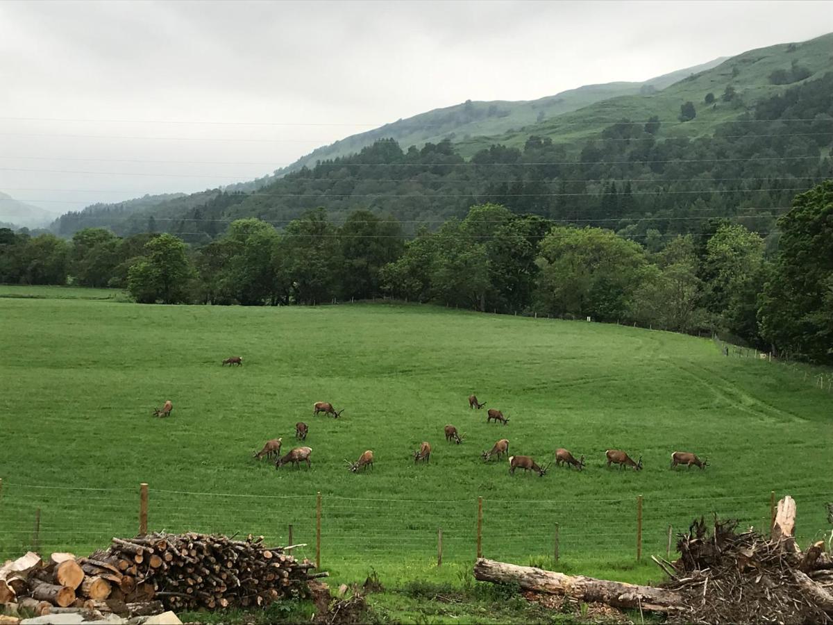 Lochay Lodges Killin Εξωτερικό φωτογραφία